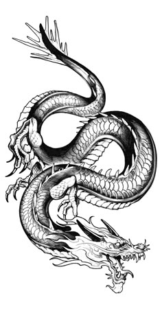 a black and white drawing of a dragon