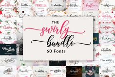 the serky bundle 60 font styles