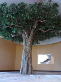 a large tree is in the middle of a room with a round wall and ceiling