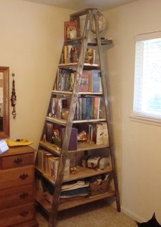 an old ladder used as a book shelf