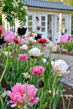 many different colored flowers in front of a house