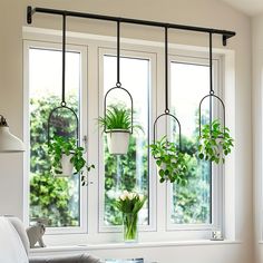 three potted plants are hanging from the window sill in front of a couch