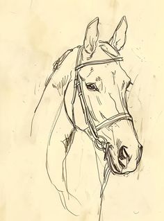 a drawing of a horse wearing a bridle