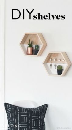 three hexagonal shelves on the wall with plants in them