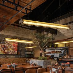 a restaurant with wooden tables and chairs, an olive tree hanging from the ceiling above