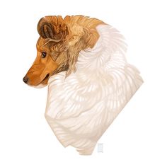 a painting of a dog's head in white and brown colors with long hair