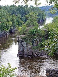 a river running through a lush green forest filled with lots of trees on top of it