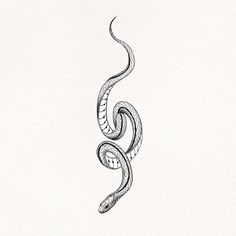 a black and white drawing of a snake