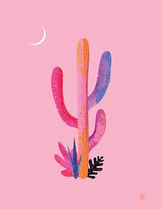 a pink background with an illustration of a cacti and the moon in the sky