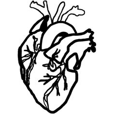 a black and white drawing of a heart