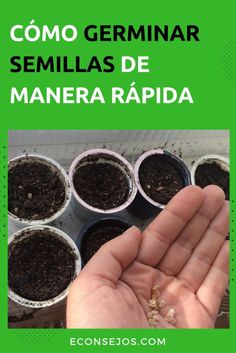 a person holding their hand up to some plants in small pots with dirt on them