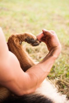 a man is petting a small dog in the grass with his paw on it's face