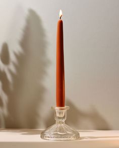 a single candle in a glass vase on a table with the shadow of a plant behind it