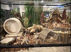 a glass case filled with lots of fake trees and logs next to a toilet bowl