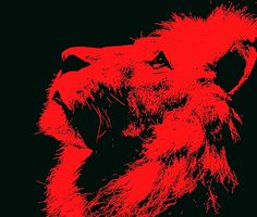 a black and red photo of a lion