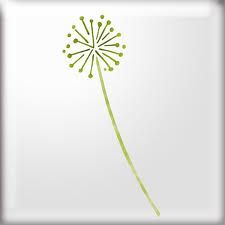 a green dandelion on a white background