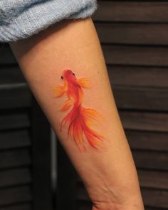 a goldfish tattoo on the left arm