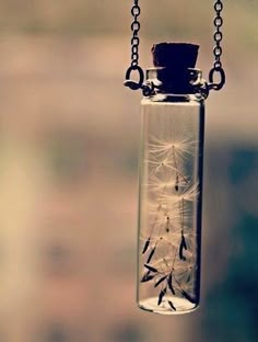 a dandelion in a glass bottle hanging from a chain