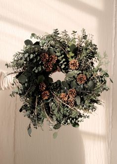 Wonderland Eucalyptus, Juniper & Pinecone Wreath - Slow Roads Dollar Eucalyptus, Silver Dollar Eucalyptus, Dried Flower Wreaths, Pinecone Wreath, Eucalyptus Wreath, Custom Gift Wrapping, Vintage Ribbon, Holiday Items, Silver Dollar