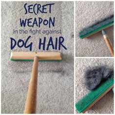 My Secret Weapon that Picks Up More Dog Hair | Teal and Lime | Bloglovin’ Carpet Rake, Hair Of The Dog, Hair School, Dog Tips, Up Dog, Dog Hacks, Lint Roller, Dog Care Tips, Dryer Sheets