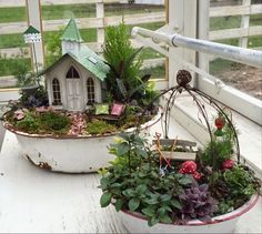 a potted planter filled with plants on top of a wooden table next to a window