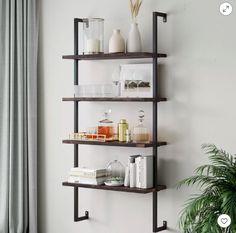 three shelves with various items on them in front of a window and a potted plant