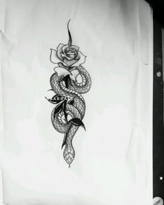 a drawing of a snake with a rose on it