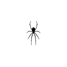 a black and white image of a spider