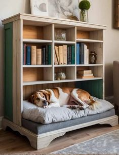 a brown and white dog laying on top of a bed in front of a book shelf