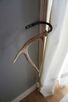 an antler hanging on the side of a door