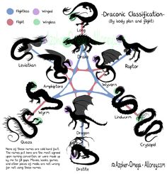 a diagram with different types of dragon's and their names in the middle one