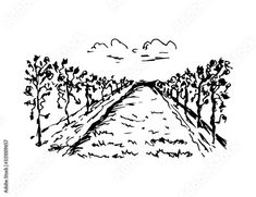 a black and white drawing of trees on a hill