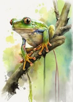 a painting of a frog sitting on a branch