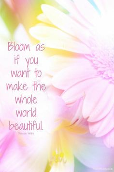 a pink flower with the words bloom as if you want to make the whole world beautiful