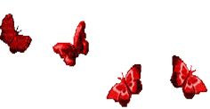 three red butterflies flying in the air