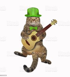 a cat wearing a green hat and holding a guitar