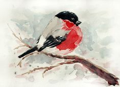 a watercolor painting of a red and black bird sitting on a branch with snow in the background