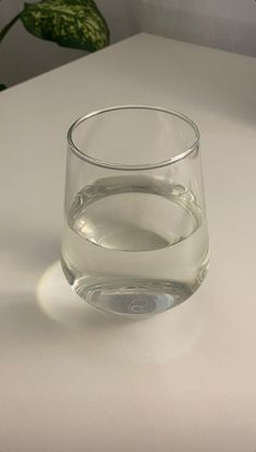 a glass filled with water sitting on top of a white table next to a potted plant