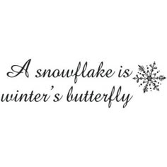 a snowflake is a winter's butterfly wall decal in black and white