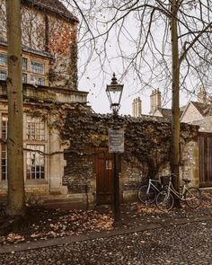 two bicycles parked in front of an old building with ivy growing on the walls and doors