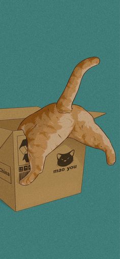 an orange cat laying on top of a cardboard box