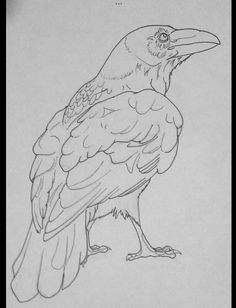 a black and white drawing of a bird