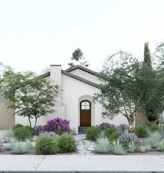 this is an artist's rendering of a house in the desert with plants and shrubs