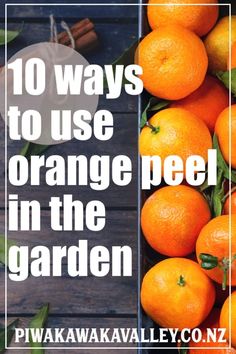 oranges with the words 10 ways to use orange peel in the garden