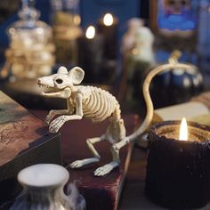 a skeleton rat figurine on a table next to some candles and an old book