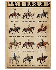 an old poster with horses and riders on it's sides, which are labeled in english