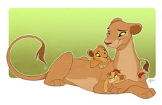 the lion and cub are laying down together