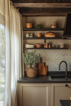 a kitchen with open shelving above the sink next to a window and potted plants