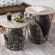 two tables sitting on top of a rug in front of a bench with a plant