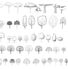 the different types of trees are shown in black and white